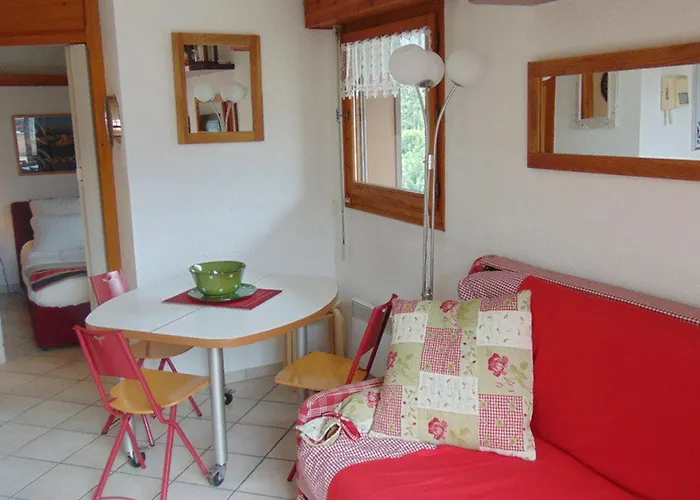 Charmant 2 Pieces Au Centre Avec Terrasse Et Garage A Chamonix - Fr-1-517-41